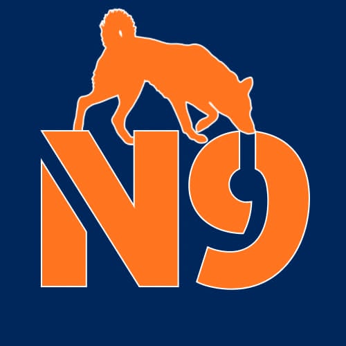 N9